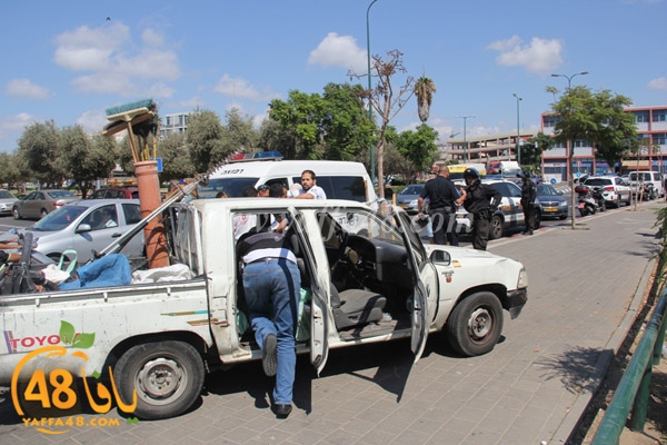 ta3n yaffa jnh (9).JPG